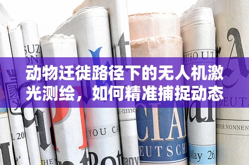 动物迁徙路径下的无人机激光测绘，如何精准捕捉动态变化？