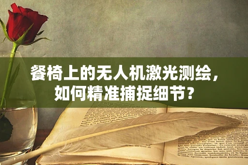 餐椅上的无人机激光测绘，如何精准捕捉细节？