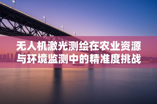 无人机激光测绘在农业资源与环境监测中的精准度挑战