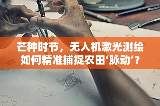 芒种时节，无人机激光测绘如何精准捕捉农田‘脉动’？