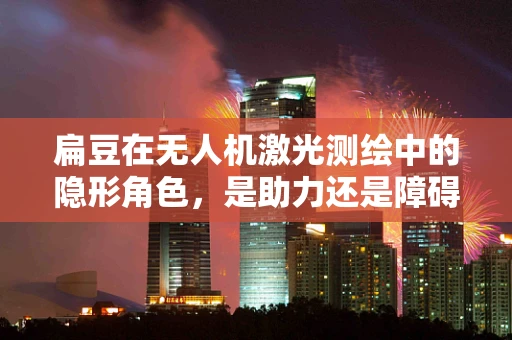 扁豆在无人机激光测绘中的隐形角色，是助力还是障碍？