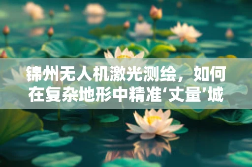 锦州无人机激光测绘，如何在复杂地形中精准‘丈量’城市？
