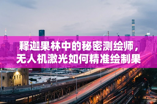 释迦果林中的秘密测绘师，无人机激光如何精准绘制果树分布？