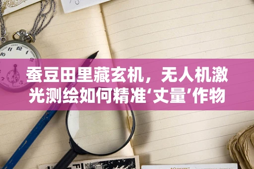 蚕豆田里藏玄机，无人机激光测绘如何精准‘丈量’作物高度？