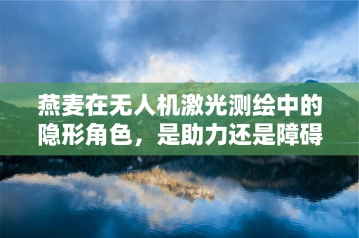 燕麦在无人机激光测绘中的隐形角色，是助力还是障碍？