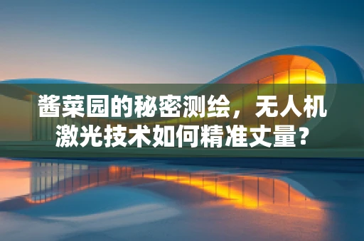 酱菜园的秘密测绘，无人机激光技术如何精准丈量？