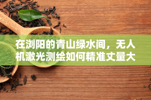 在浏阳的青山绿水间，无人机激光测绘如何精准丈量大地？