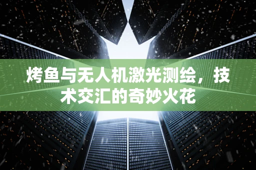 烤鱼与无人机激光测绘，技术交汇的奇妙火花