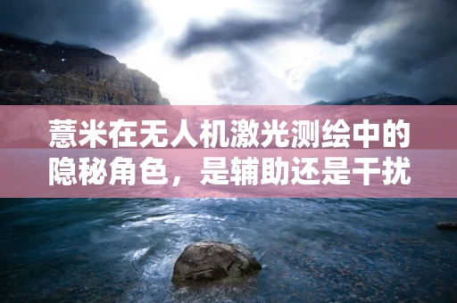 薏米在无人机激光测绘中的隐秘角色，是辅助还是干扰？