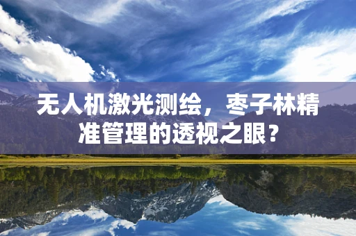 无人机激光测绘，枣子林精准管理的透视之眼？