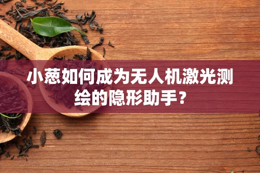 小葱如何成为无人机激光测绘的隐形助手？