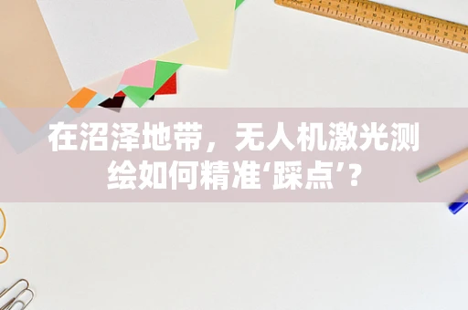 在沼泽地带，无人机激光测绘如何精准‘踩点’？
