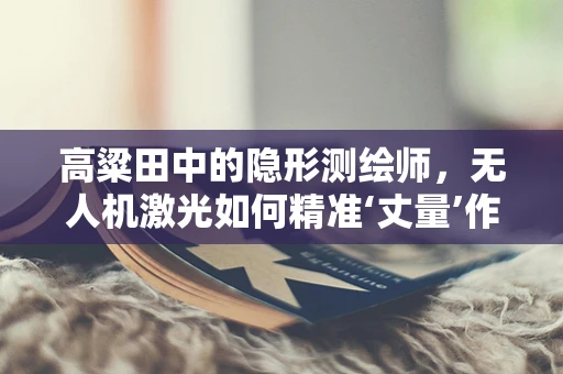 高粱田中的隐形测绘师，无人机激光如何精准‘丈量’作物高度？