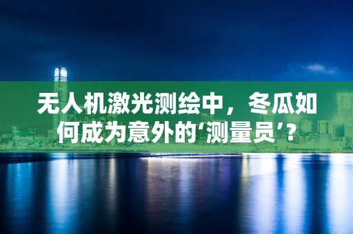 无人机激光测绘中，冬瓜如何成为意外的‘测量员’？