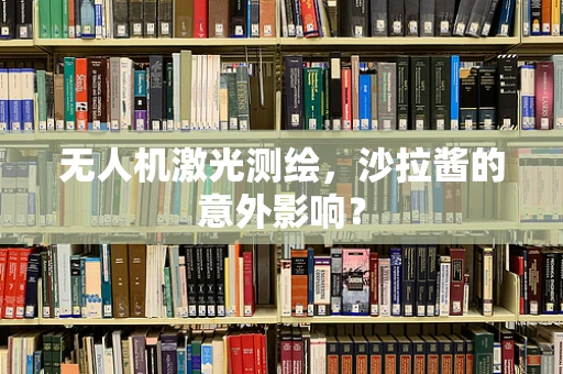 无人机激光测绘，沙拉酱的意外影响？
