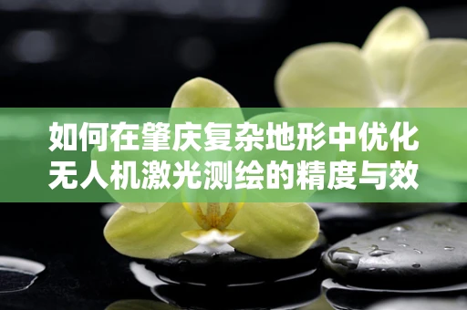 如何在肇庆复杂地形中优化无人机激光测绘的精度与效率？