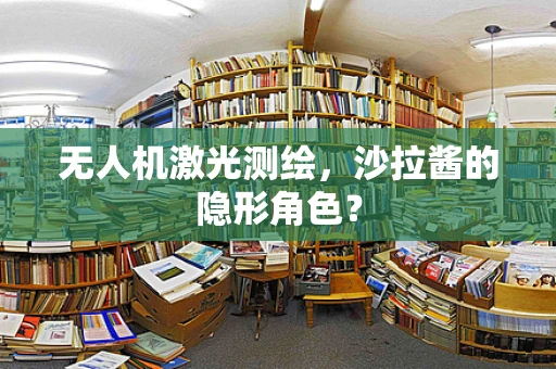 无人机激光测绘，沙拉酱的隐形角色？