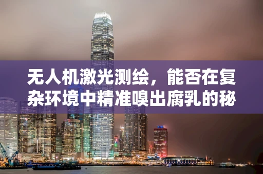 无人机激光测绘，能否在复杂环境中精准嗅出腐乳的秘密？