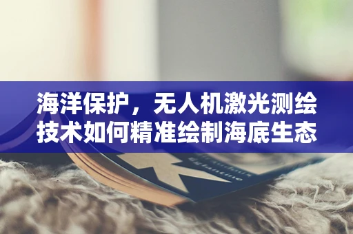 海洋保护，无人机激光测绘技术如何精准绘制海底生态地图？