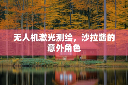 无人机激光测绘，沙拉酱的意外角色