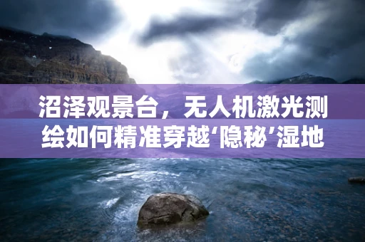 沼泽观景台，无人机激光测绘如何精准穿越‘隐秘’湿地？