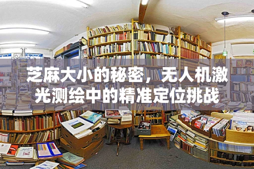 芝麻大小的秘密，无人机激光测绘中的精准定位挑战