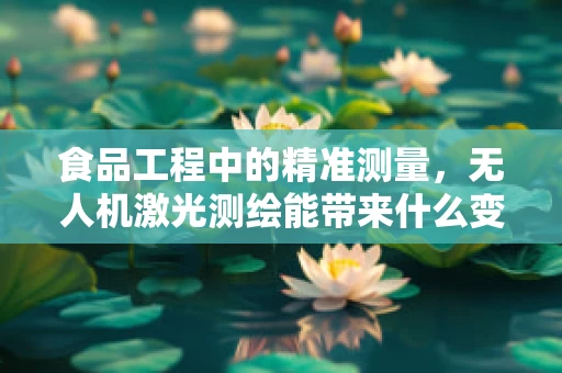 食品工程中的精准测量，无人机激光测绘能带来什么变革？