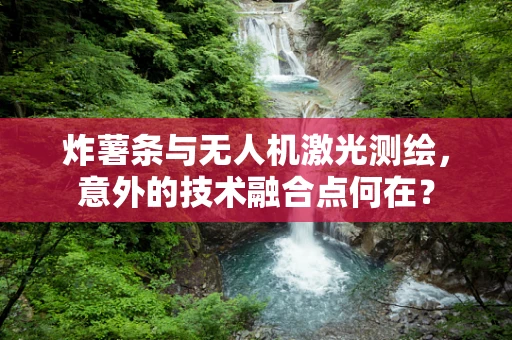 炸薯条与无人机激光测绘，意外的技术融合点何在？