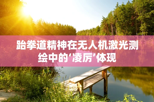跆拳道精神在无人机激光测绘中的‘凌厉’体现