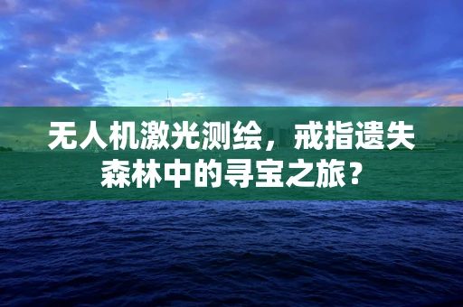 无人机激光测绘，戒指遗失森林中的寻宝之旅？