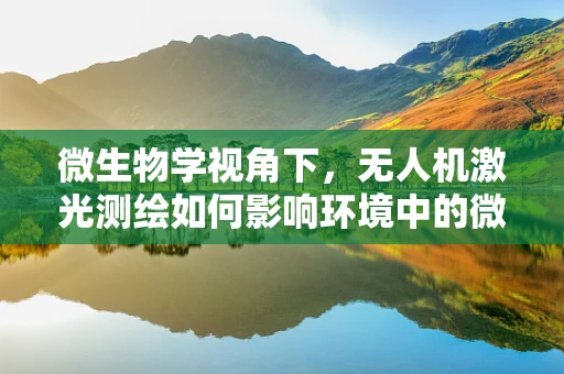 微生物学视角下，无人机激光测绘如何影响环境中的微生物群落？