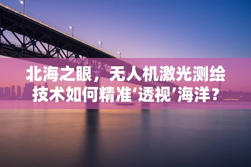 北海之眼，无人机激光测绘技术如何精准‘透视’海洋？