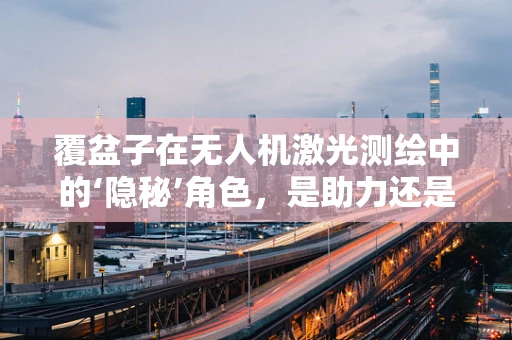 覆盆子在无人机激光测绘中的‘隐秘’角色，是助力还是绊脚石？