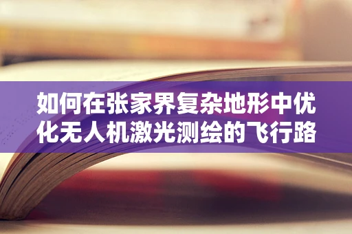 如何在张家界复杂地形中优化无人机激光测绘的飞行路径？