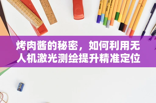 烤肉酱的秘密，如何利用无人机激光测绘提升精准定位，让烧烤更‘精确’？
