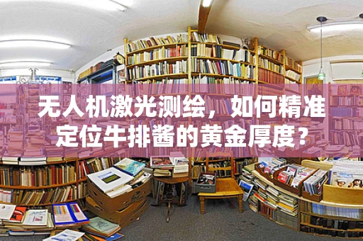 无人机激光测绘，如何精准定位牛排酱的黄金厚度？