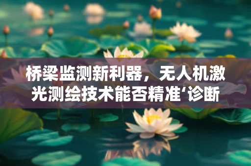 桥梁监测新利器，无人机激光测绘技术能否精准‘诊断’？