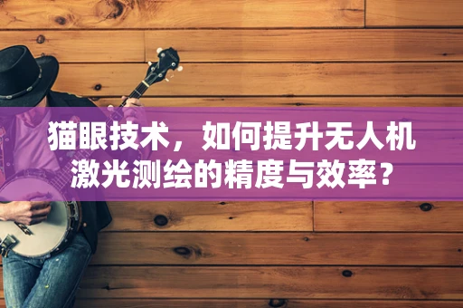 猫眼技术，如何提升无人机激光测绘的精度与效率？