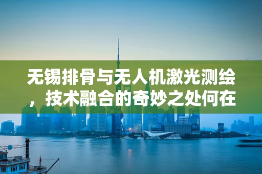 无锡排骨与无人机激光测绘，技术融合的奇妙之处何在？