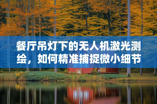 餐厅吊灯下的无人机激光测绘，如何精准捕捉微小细节？