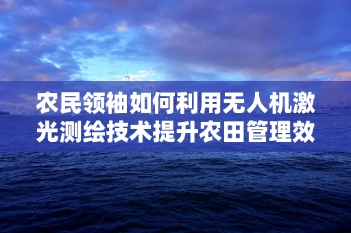 农民领袖如何利用无人机激光测绘技术提升农田管理效率？