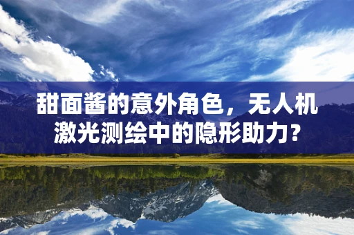 甜面酱的意外角色，无人机激光测绘中的隐形助力？
