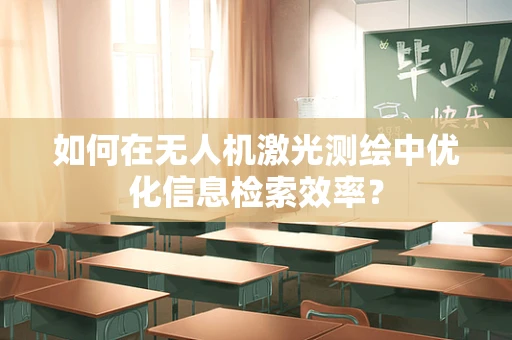 如何在无人机激光测绘中优化信息检索效率？