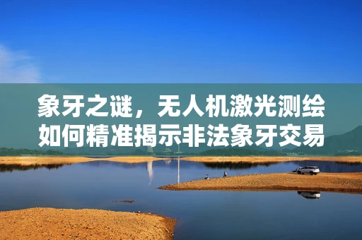 象牙之谜，无人机激光测绘如何精准揭示非法象牙交易背后的真相？