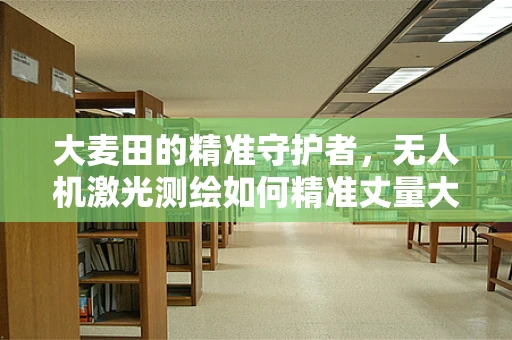 大麦田的精准守护者，无人机激光测绘如何精准丈量大面积农田？