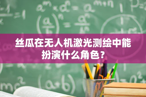 丝瓜在无人机激光测绘中能扮演什么角色？
