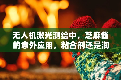 无人机激光测绘中，芝麻酱的意外应用，粘合剂还是润滑剂？