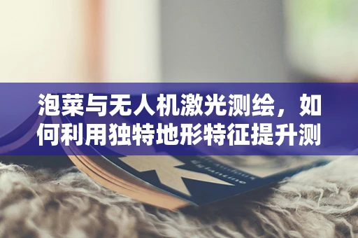 泡菜与无人机激光测绘，如何利用独特地形特征提升测绘精度？