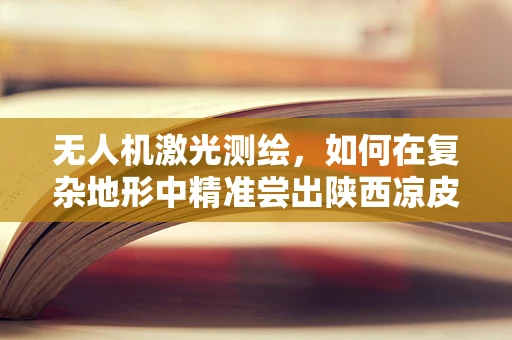 无人机激光测绘，如何在复杂地形中精准尝出陕西凉皮的味道？