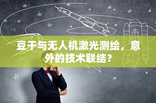 豆干与无人机激光测绘，意外的技术联结？